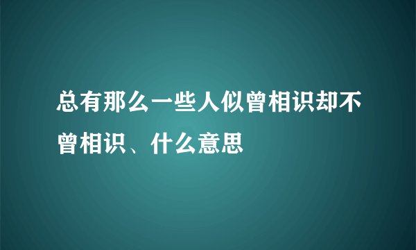 总有那么一些人似曾相识却不曾相识、什么意思
