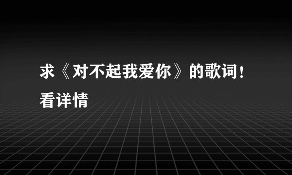 求《对不起我爱你》的歌词！看详情