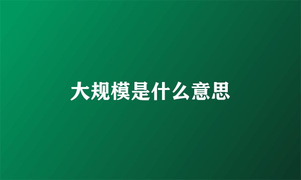 大规模是什么意思