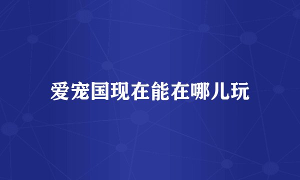 爱宠国现在能在哪儿玩