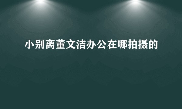 小别离董文洁办公在哪拍摄的
