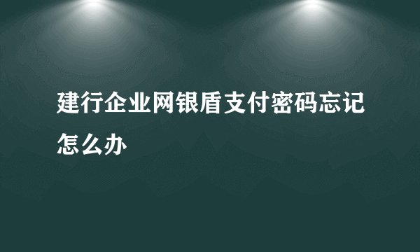 建行企业网银盾支付密码忘记怎么办