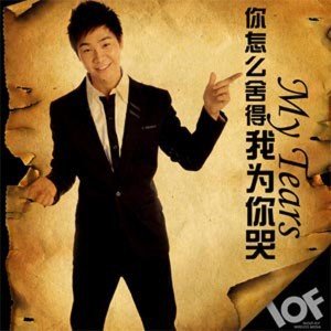 你怎么舍得我为你哭的介绍