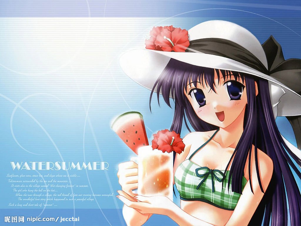 水夏的故事简介