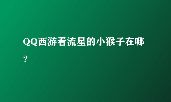 QQ西游看流星的小猴子在哪？