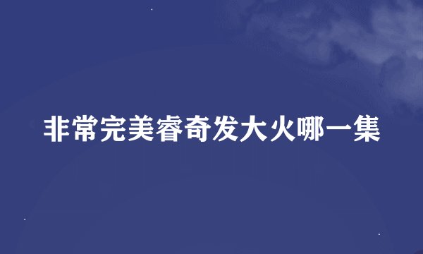 非常完美睿奇发大火哪一集