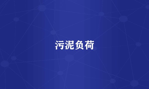 污泥负荷