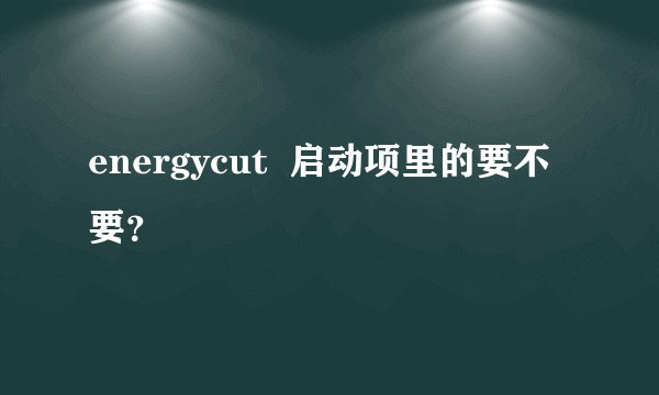 energycut  启动项里的要不要？