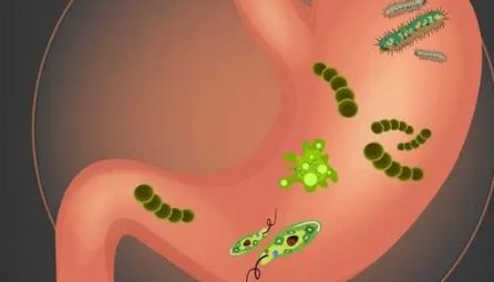 广东1家4人查出幽门螺旋杆菌孩子疼得打滚，得了幽门螺杆菌该怎么办？