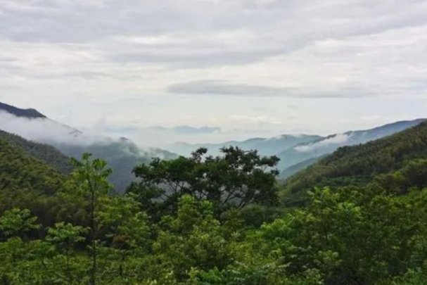 搬山是什么意思