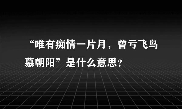 “唯有痴情一片月，曾亏飞鸟慕朝阳”是什么意思？