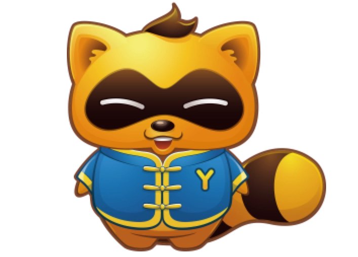 yy指的是什么呢?