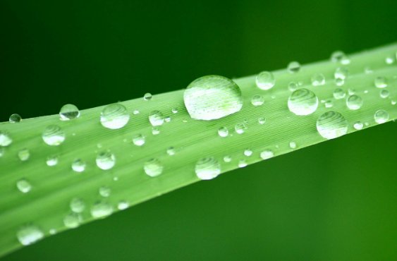 晶莹的什么填空？