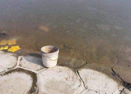 美团平台将承担遇难外卖员幼女学费到18岁,平台的举动有多暖心?