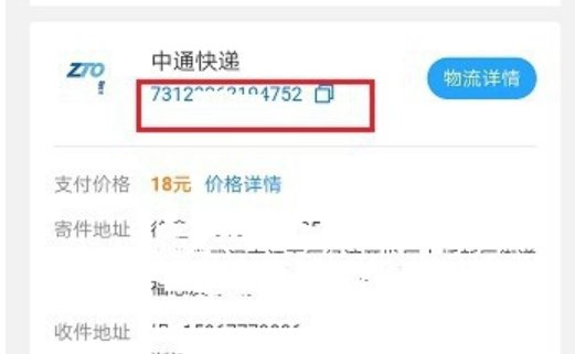 怎么查询快递单号呢？
