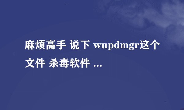 麻烦高手 说下 wupdmgr这个文件 杀毒软件 查出来一删除 系统就启动不起来是怎么回事啊