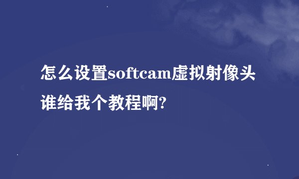 怎么设置softcam虚拟射像头 谁给我个教程啊?