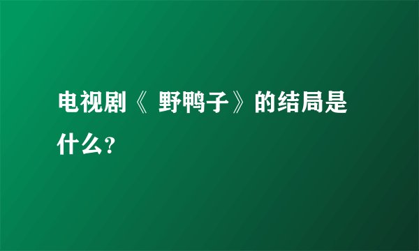 电视剧《 野鸭子》的结局是什么？