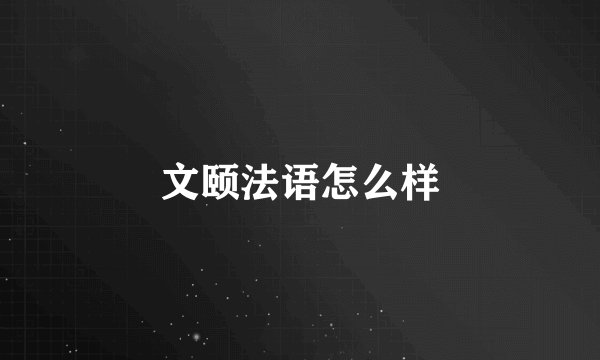 文颐法语怎么样