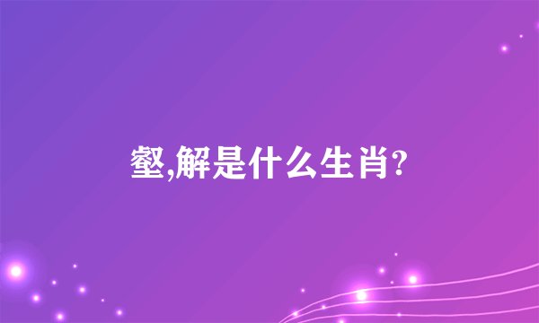 壑,解是什么生肖?