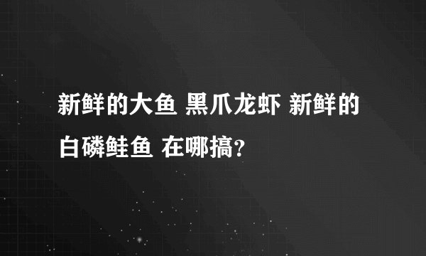 新鲜的大鱼 黑爪龙虾 新鲜的白磷鲑鱼 在哪搞？