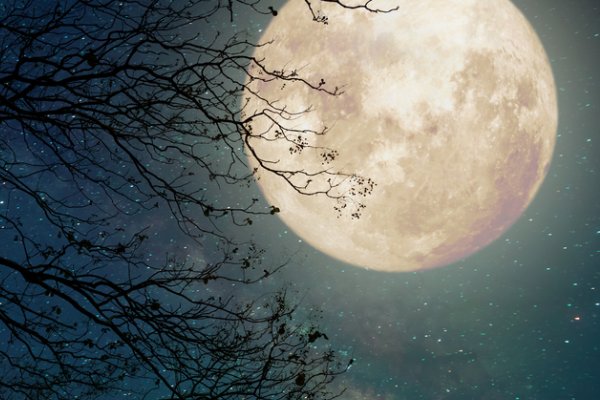 补全唐代诗人刘方平夜月诗句今夜偏知春气暖重生心什么绿窗纱