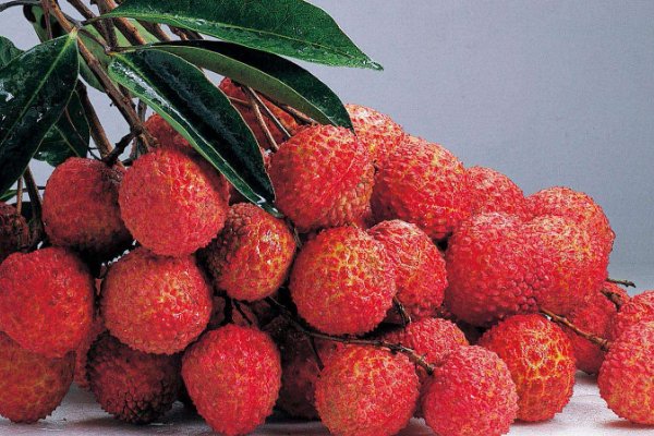 白糖罂和桂味区别