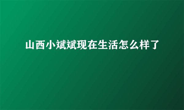 山西小斌斌现在生活怎么样了