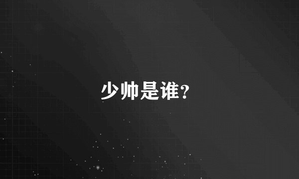 少帅是谁？
