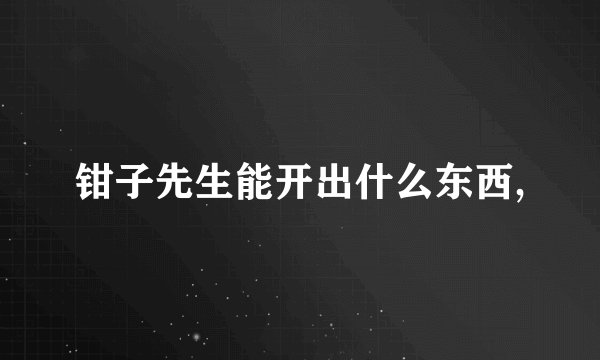 钳子先生能开出什么东西,