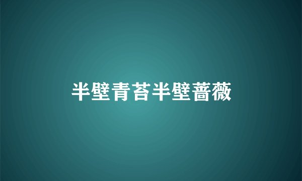 半壁青苔半壁蔷薇