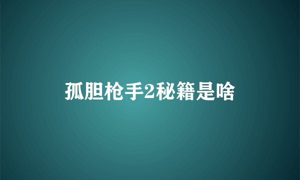 孤胆枪手2秘籍是啥