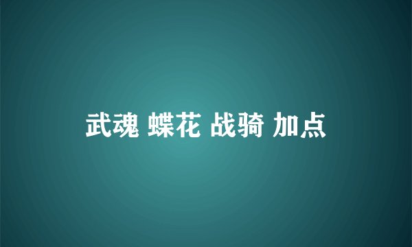 武魂 蝶花 战骑 加点