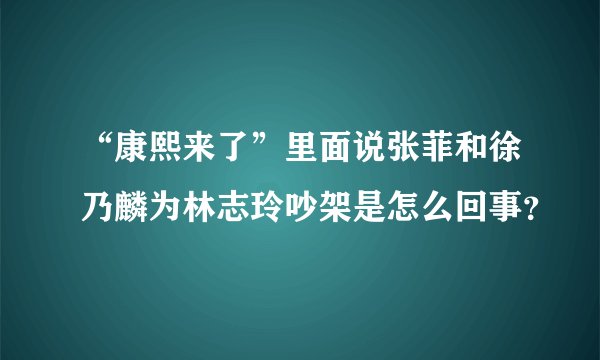 “康熙来了”里面说张菲和徐乃麟为林志玲吵架是怎么回事？