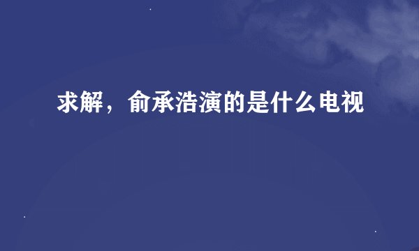 求解，俞承浩演的是什么电视