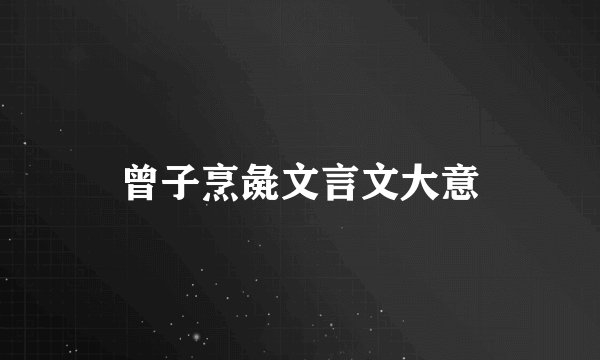 曾子烹彘文言文大意