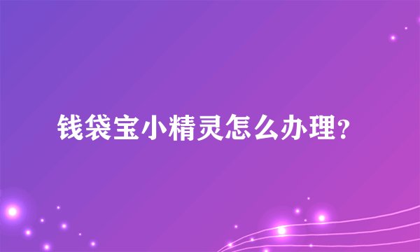钱袋宝小精灵怎么办理？