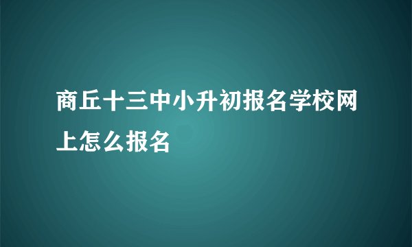商丘十三中小升初报名学校网上怎么报名