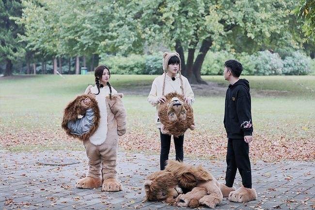 《神奇公司在哪里》综艺是什么内容？