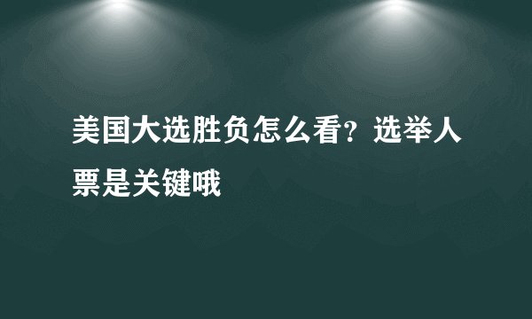 美国大选胜负怎么看？选举人票是关键哦