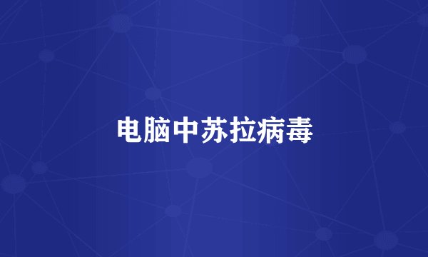 电脑中苏拉病毒