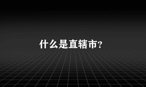 什么是直辖市？