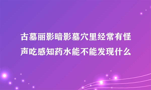 古墓丽影暗影墓穴里经常有怪声吃感知药水能不能发现什么