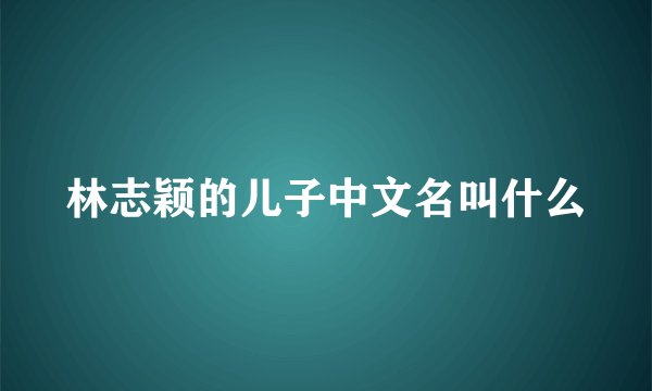 林志颖的儿子中文名叫什么