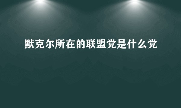 默克尔所在的联盟党是什么党
