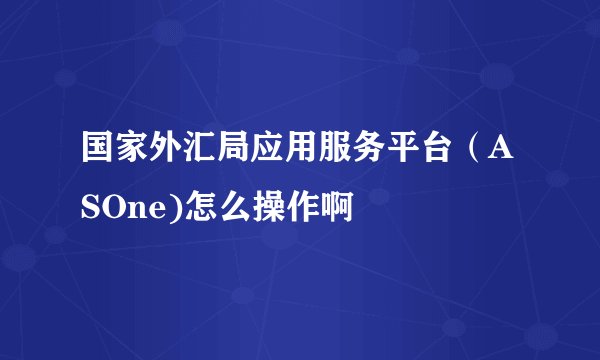 国家外汇局应用服务平台（ASOne)怎么操作啊