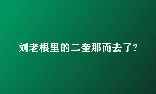 刘老根里的二奎那而去了?