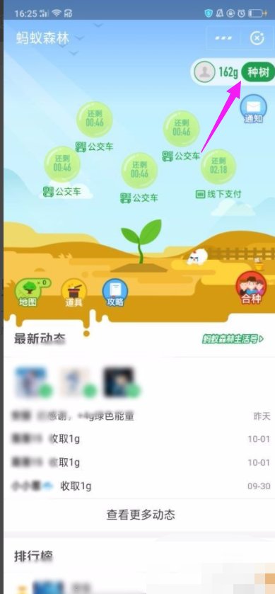 支付宝蚂蚁森林可以种植哪些树