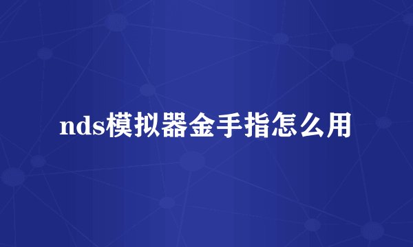 nds模拟器金手指怎么用