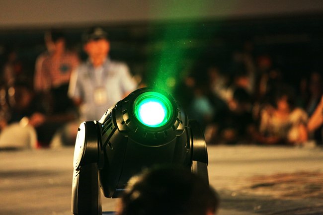 刘小雁的个人简介